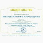 сертификат о публикации 3