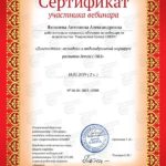 сертификат участника вебинара 2019